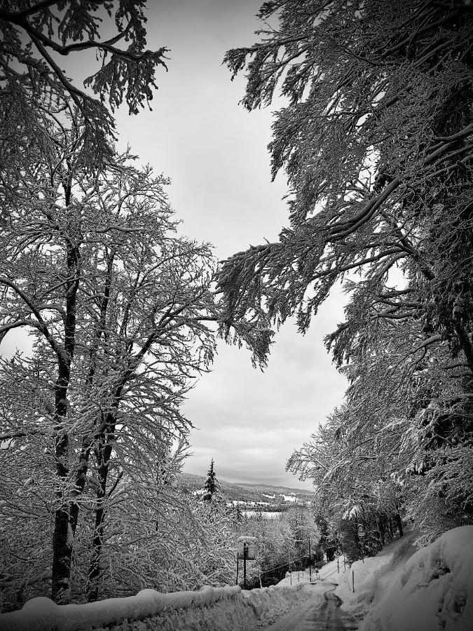 Hotel De Ville Du Sentier Le Sentier Exteriér fotografie